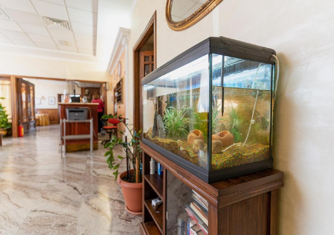 Hotel Villa Delle Rose Oristano Eksteriør bilde